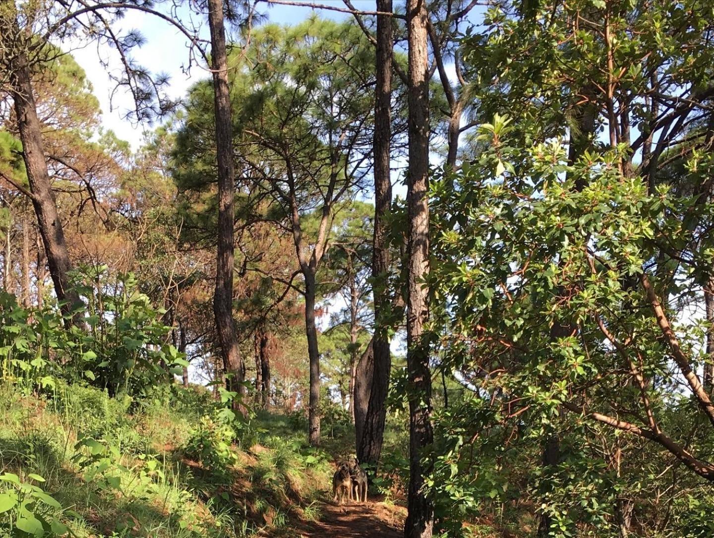 Mi Casa De Valle 巴耶德布拉沃 外观 照片
